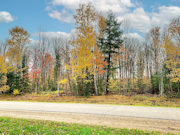Forest County Remote Wooded Acreage Near Lake Lucerne!