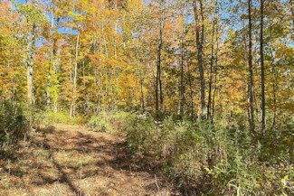 15 Acres Near Park Falls, WI!