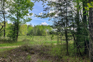 3.5 Acres Near Lake Lucerne!