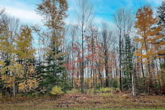 6 Acres Wooded Land - Build, Hunt, Fish!