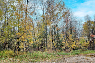 6 Acres Wooded Land - Build, Hunt, Fish!