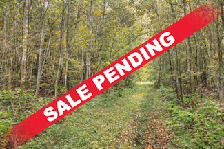 9+ Acres Bordering Sawyer Co Forest!