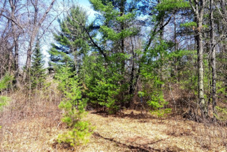 5.2 Acres Near Spooner, WI!