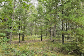 9+ Acres Bordering Sawyer Co Forest!