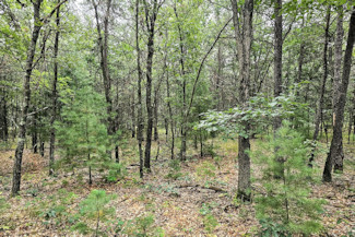 9+ Acres Bordering Sawyer Co Forest!