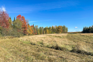 Northern WI Acreage Near National Forest!