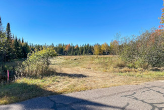 Northern WI Acreage Near National Forest!