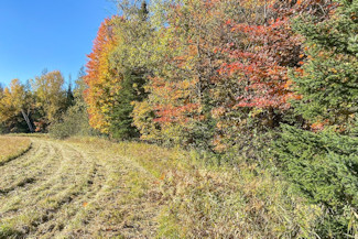 Northern WI Acreage Near National Forest!