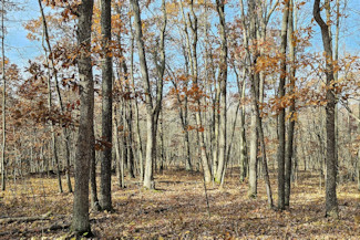 Western WI Acreage Near State Forest!