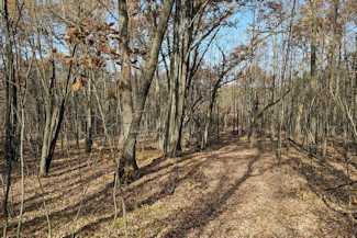 Western WI Acreage Near State Forest!