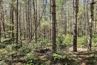 Summit Lake Wooded Land for Sale!