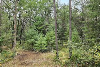 Castle Rock Lake, WI Area Acreage!