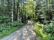 Directly Adjoining the Chequamegon National Forest for $21,900!