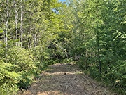 Directly Adjoining the Chequamegon National Forest for $21,900!