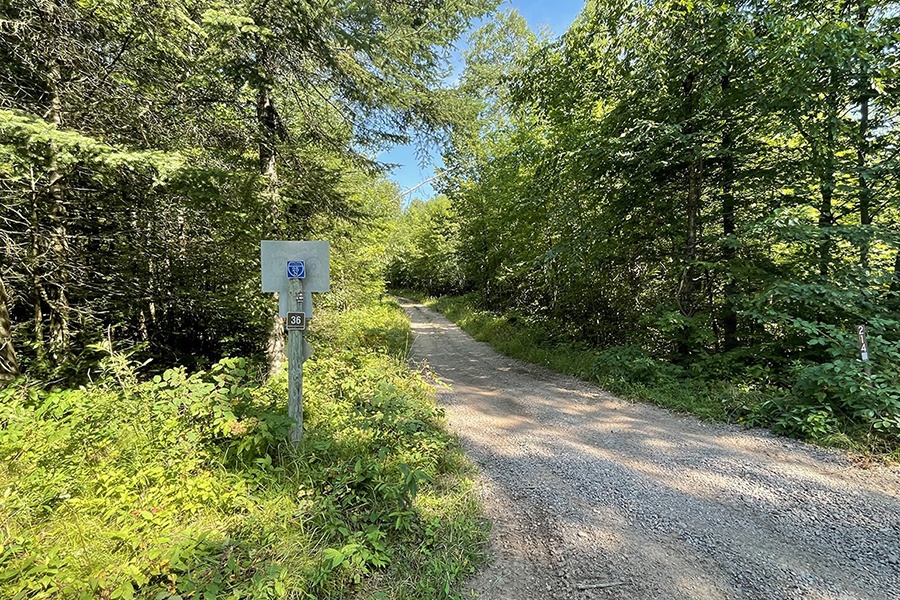 Directly Adjoining the Chequamegon National Forest for 21,900! Loon