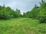 75 acres with 4,600' of Waterfront near Turtle Lake, WI!