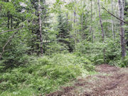 2.5 Acres Wooded Land for sale in Forest County!