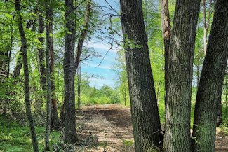 Western WI Acreage Near State Forest!