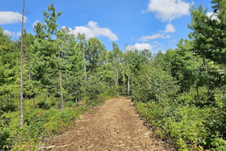 Western WI Acreage Near State Forest!