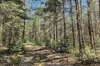 Summit Lake Wooded Land for Sale!