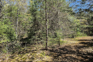 Summit Lake Wooded Land for Sale!