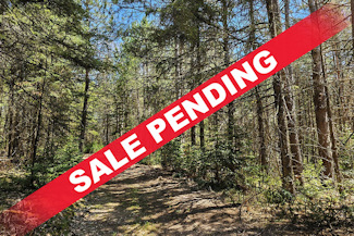 Summit Lake Wooded Land for Sale!