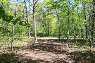 Castle Rock Lake, WI Area Acreage!