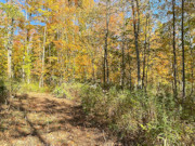 15-Acre Wooded Hunting Land For Sale Near Park Falls, WI