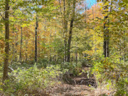 15-Acre Wooded Hunting Land For Sale Near Park Falls, WI