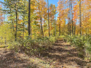 15-Acre Wooded Hunting Land For Sale Near Park Falls, WI