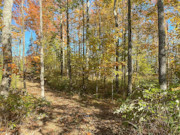 Secluded 10-Acre Wooded Retreat Near Price & Ashland County, WI