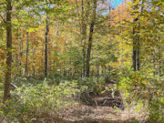 Secluded 10-Acre Wooded Retreat Near Price & Ashland County, WI