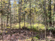 15-Acre Retreat: Land for Sale in Price/Ashland County, WI