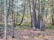 15-Acre Retreat: Land for Sale in Price/Ashland County, WI