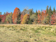 15-Acre Retreat: Land for Sale in Price/Ashland County, WI