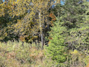 15-Acre Retreat: Land for Sale in Price/Ashland County, WI