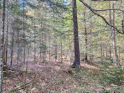 15-Acre Retreat: Land for Sale in Price/Ashland County, WI