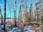 6.2-Acres Near Phillips, WI: River Access, ATV Trails