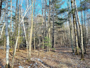 6.2-Acres Near Phillips, WI: River Access, ATV Trails