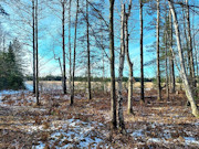 6.2-Acres Near Phillips, WI: River Access, ATV Trails