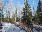 10-Acre Hunting Land Near Flambeau River