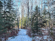 10-Acre Hunting Land Near Flambeau River