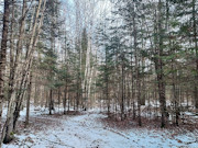 11-Acre Wooded Land Near Phillips, WI