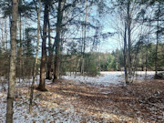 Buildable Land Near Flambeau River, WI: 3.6 Acres