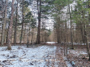 Buildable Land Near Flambeau River, WI: 3.6 Acres