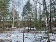 Buildable Land Near Flambeau River, WI: 3.6 Acres