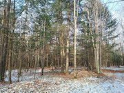 Buildable Land Near Flambeau River, WI: 3.6 Acres