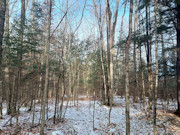 Buildable Land Near Flambeau River, WI: 3.6 Acres