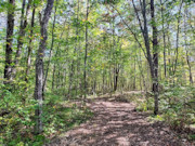 3 Acres For Sale Near Nicolet National Forest