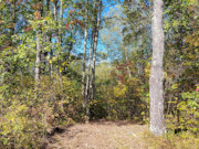 3 Acres For Sale Near Nicolet National Forest